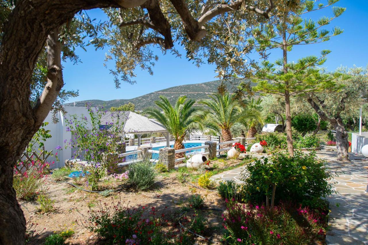 Villa Irini Platis Gialos  ภายนอก รูปภาพ